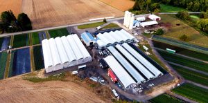 riverside-greenhouses-aerial-view-annuals--mums-cabbage riverside-greenhouses-aerial-view-annuals--mums-cabbage