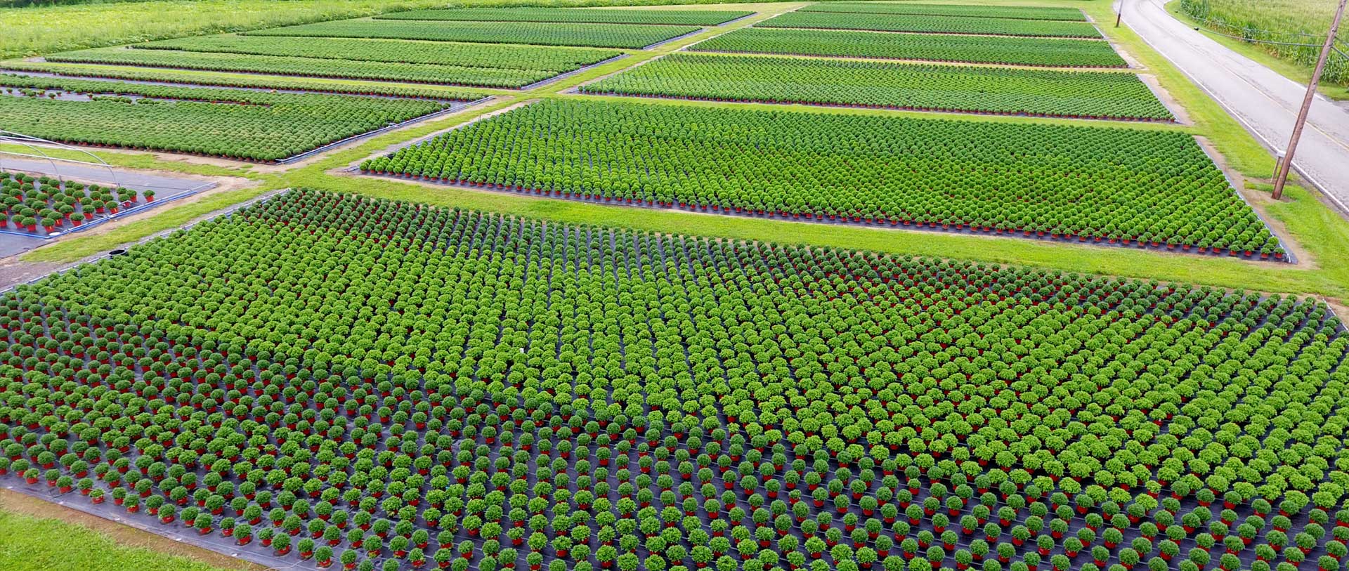 Home Riverside Greenhouses