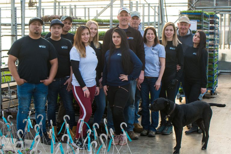 About Us Riverside Greenhouses