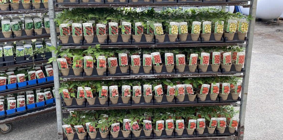 Availability Riverside Greenhouses