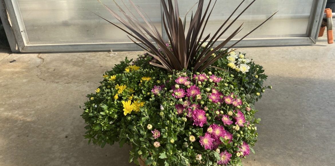 Riverside-Greenhouses-Allamuchy-NJ-Fall-Baskets Riverside-Greenhouses-Allamuchy-NJ-Fall-Baskets