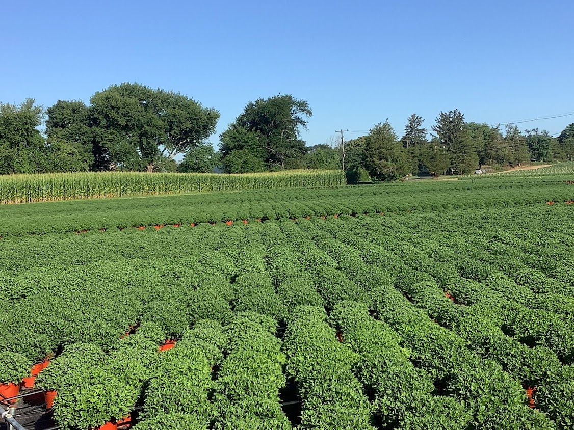Availability Riverside Greenhouses